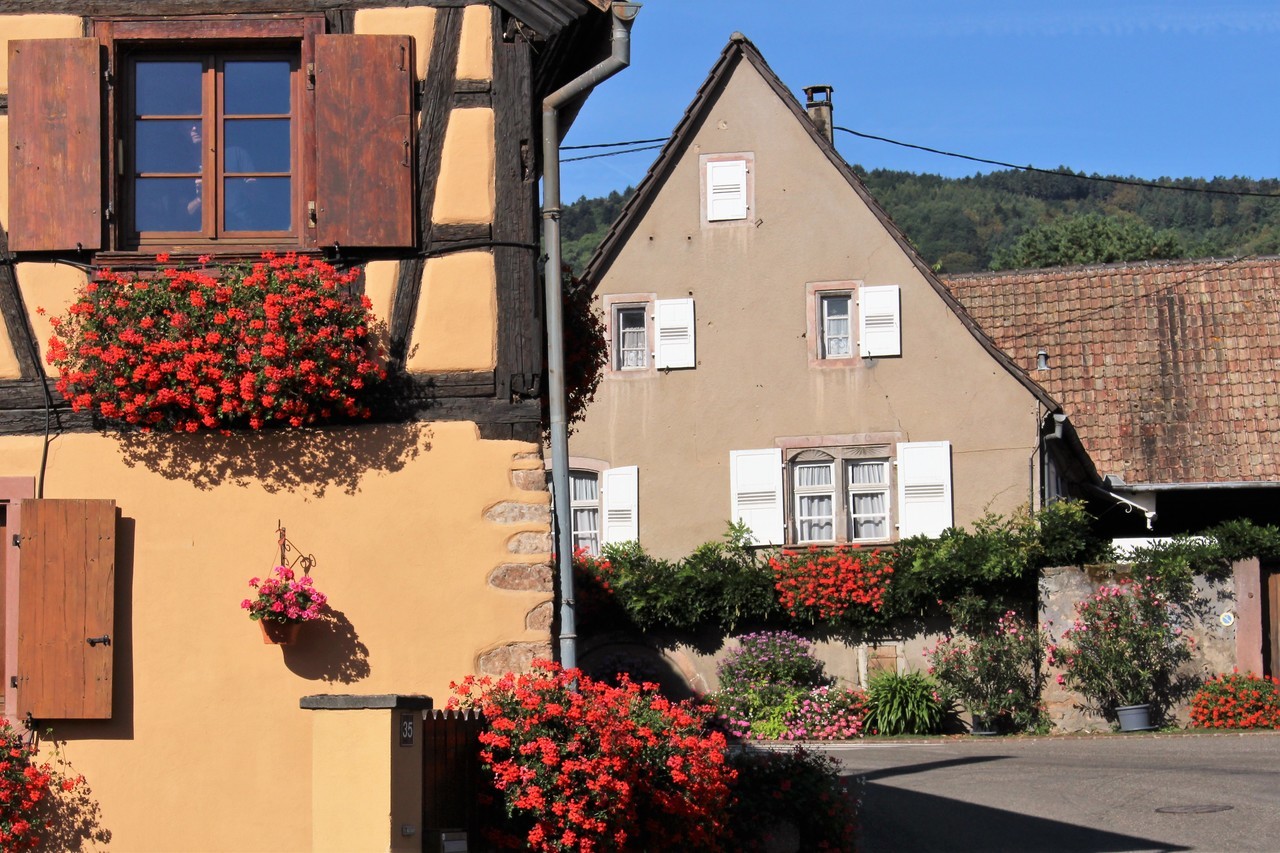 Ferienwohnung Maison Gite Au Tonnelier In Hunawihr Bei Riquewihr Der Ort Im Elsass
